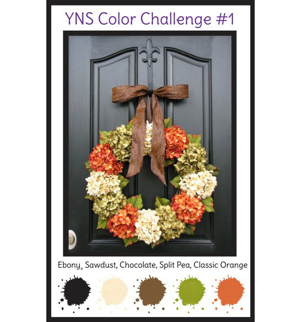 YNS Color Challenge 1 - wider